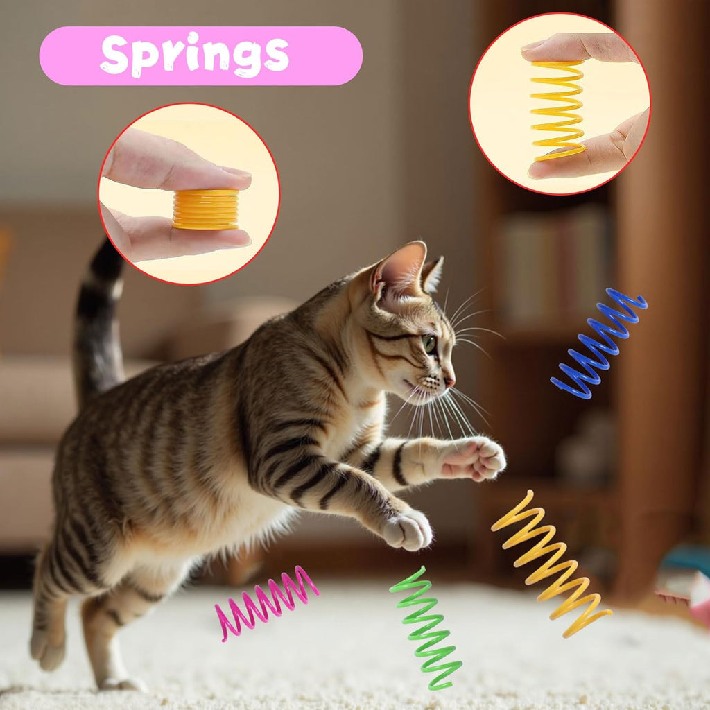 Indoor cat playing with Flashine toy assortment
