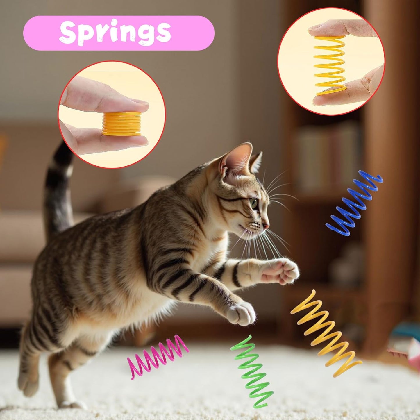 Indoor cat playing with Flashine toy assortment