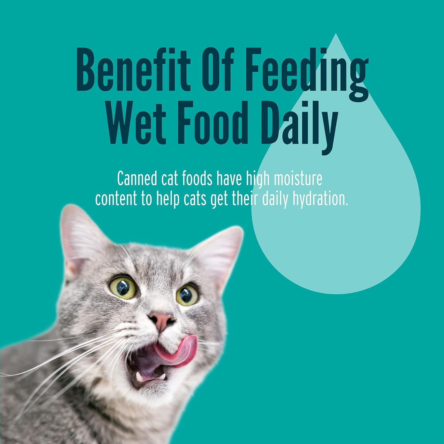 Strongheart Pate And Shreds Wet Cat Food Assortment
