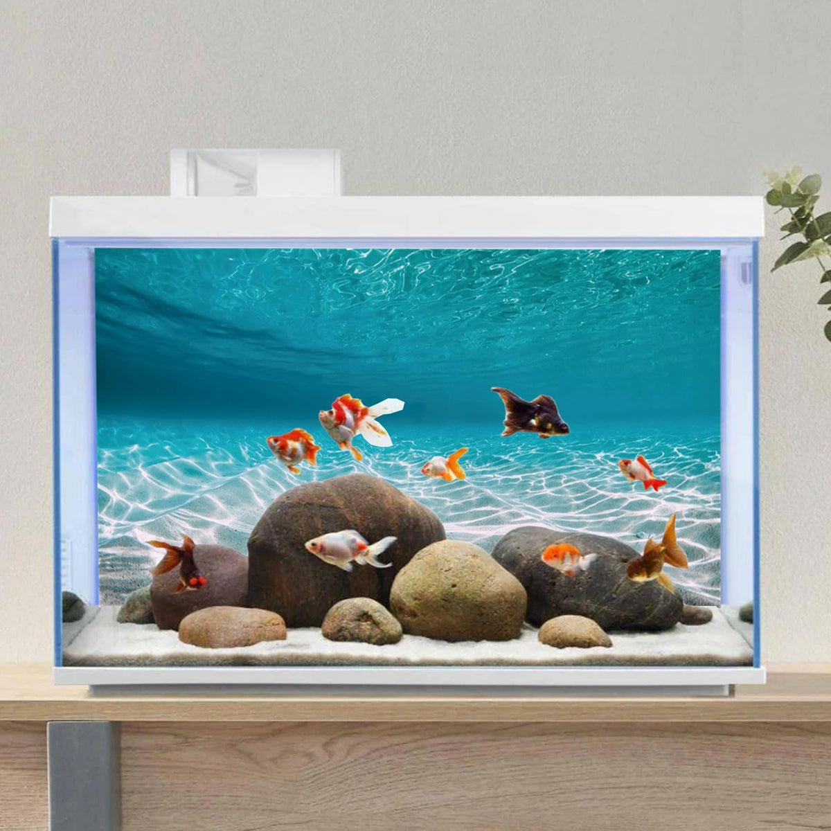 AWERT underwater terrarium poster displaying high definition marine landscape details