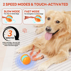 QGI electric dog stimulation toy for boredom relief