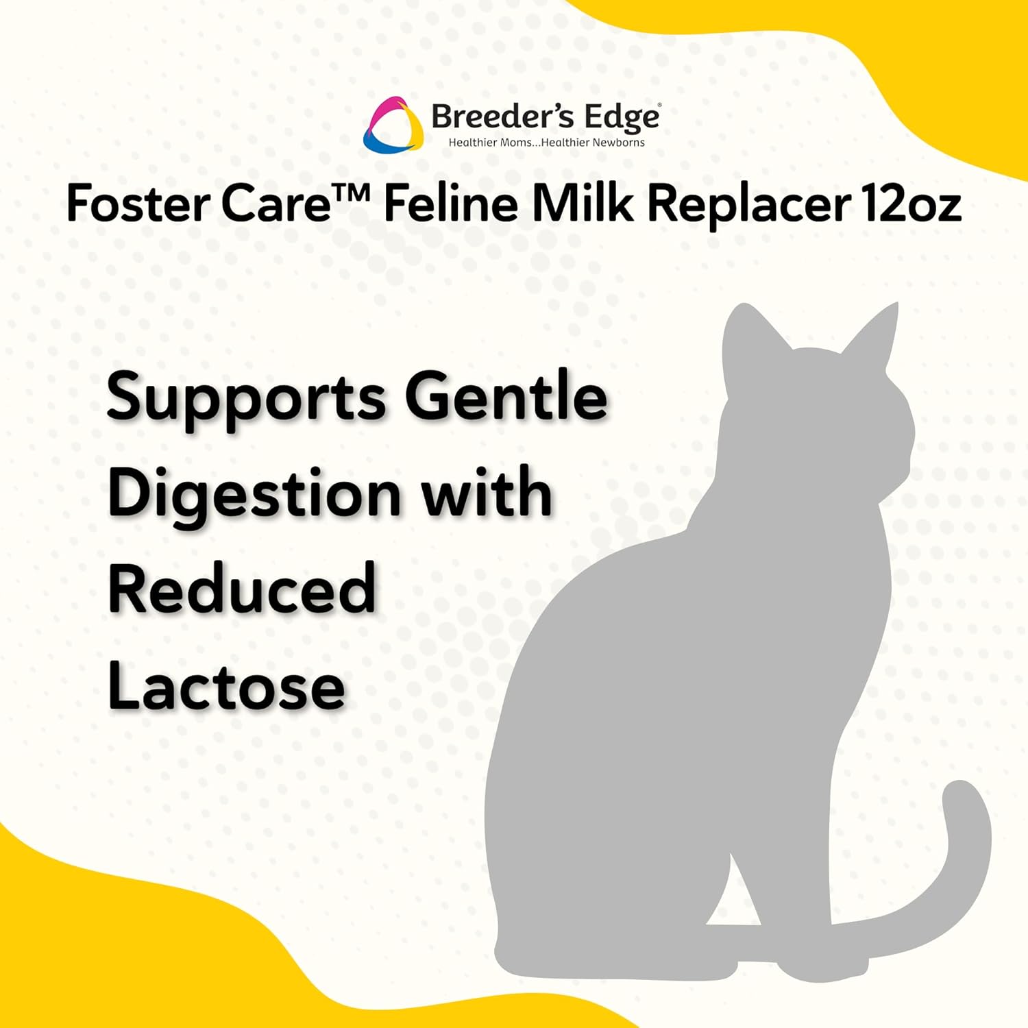 Kitten milk replacer powder being prepared with mixing ratio instructions