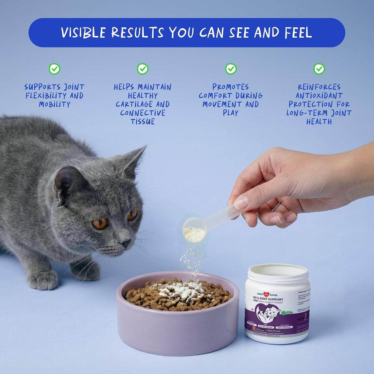 Coco and Luna cat joint supplement container label