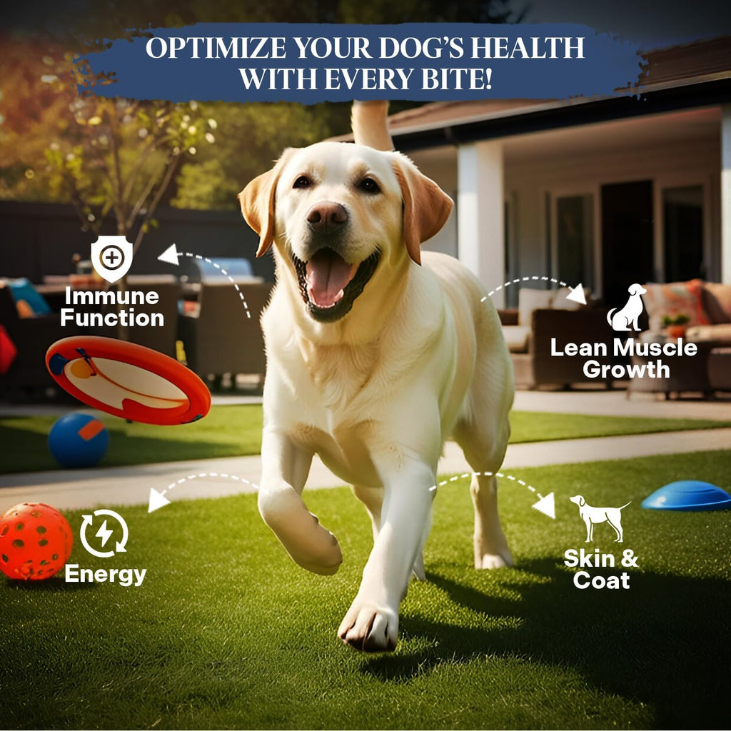 Healthy Dogma Homestyle PetMix 10 pounds bucket packaging