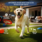 Healthy Dogma PetMix grain-free freeze-dried dog food packaging details