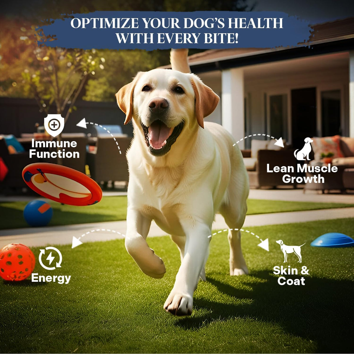 Healthy Dogma PetMix grain-free freeze-dried dog food packaging details