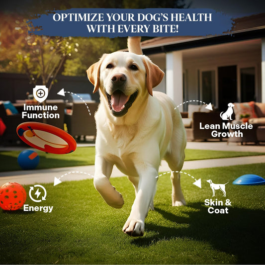 Healthy Dogma PetMix grain-free freeze-dried dog food packaging details