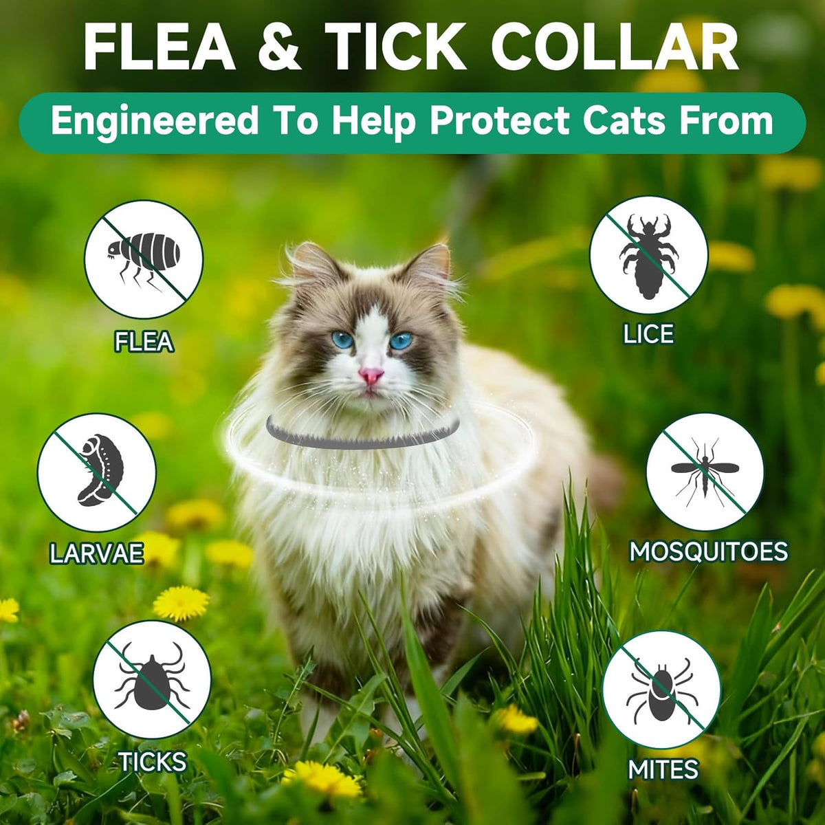 Close up of grey adjustable Weallin flea collar for cats