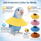 HIHETE bird protective cone set showing four colored collars side by side
