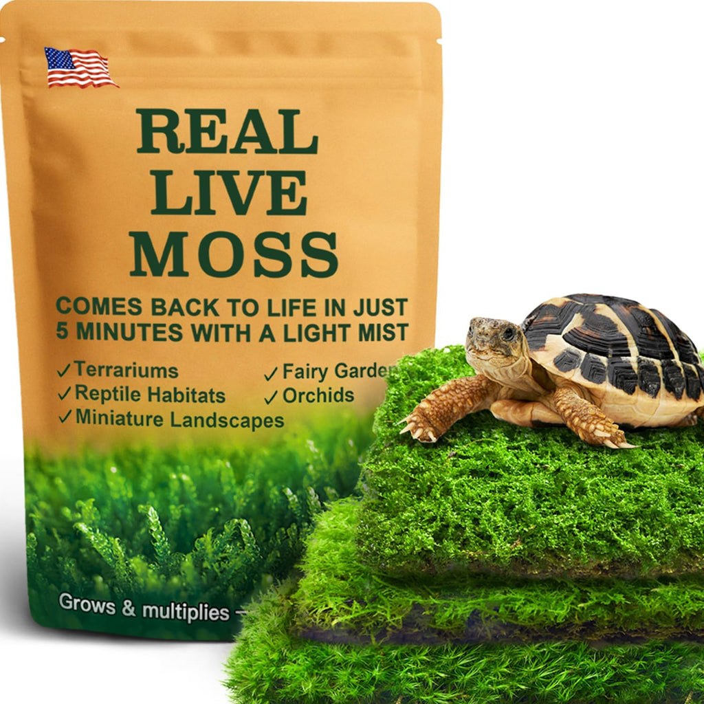 Luckyrunes live moss variety pack front view pouch