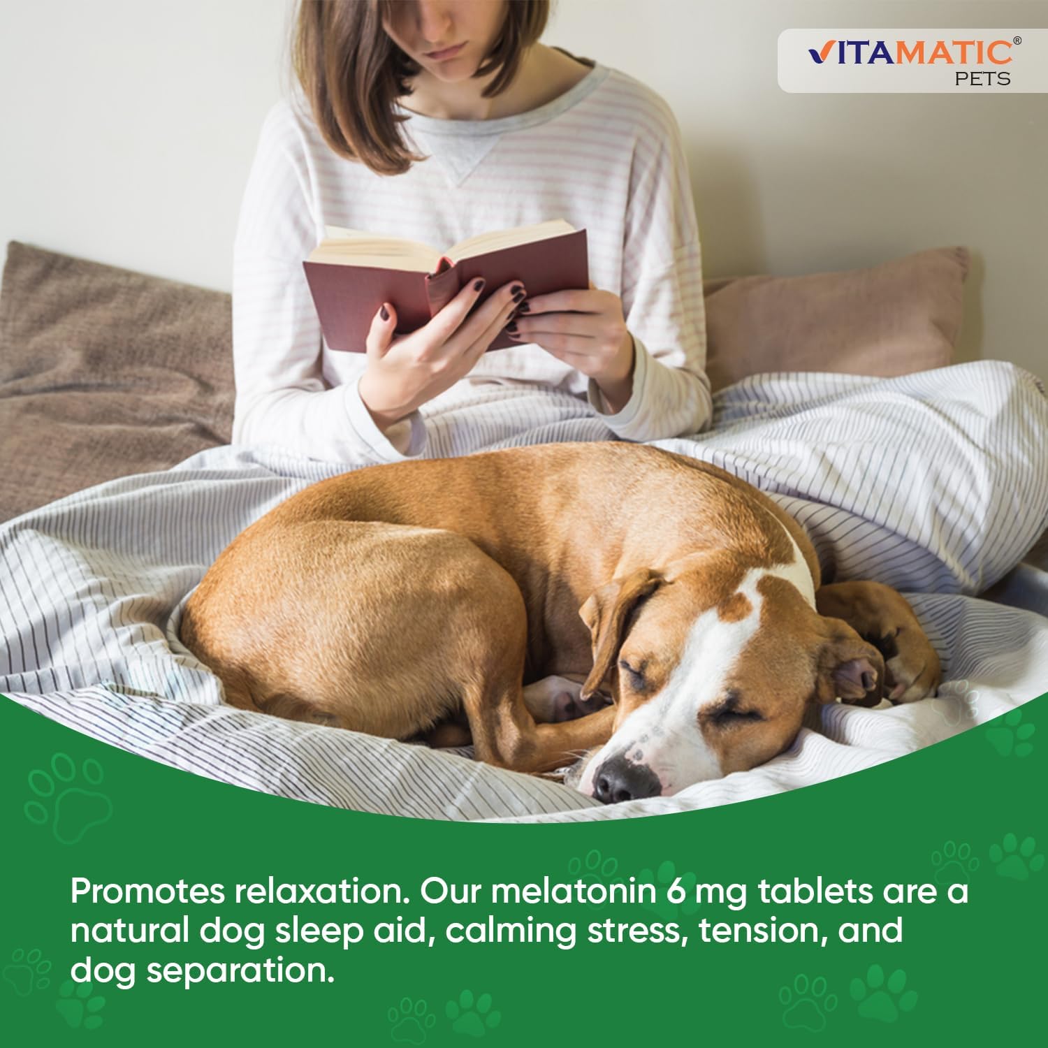 Vitamatic melatonin 6 mg tablets showing the recommended feeding guidelines for small and large dogs.