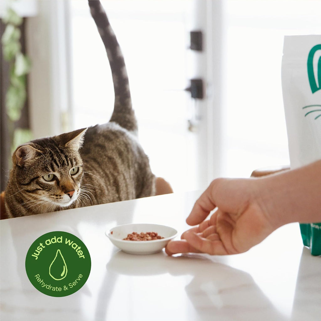 Smallbatch pets freeze dried chicken meal bites for cats close up