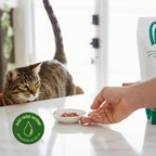 Smallbatch pets freeze dried chicken meal bites for cats close up