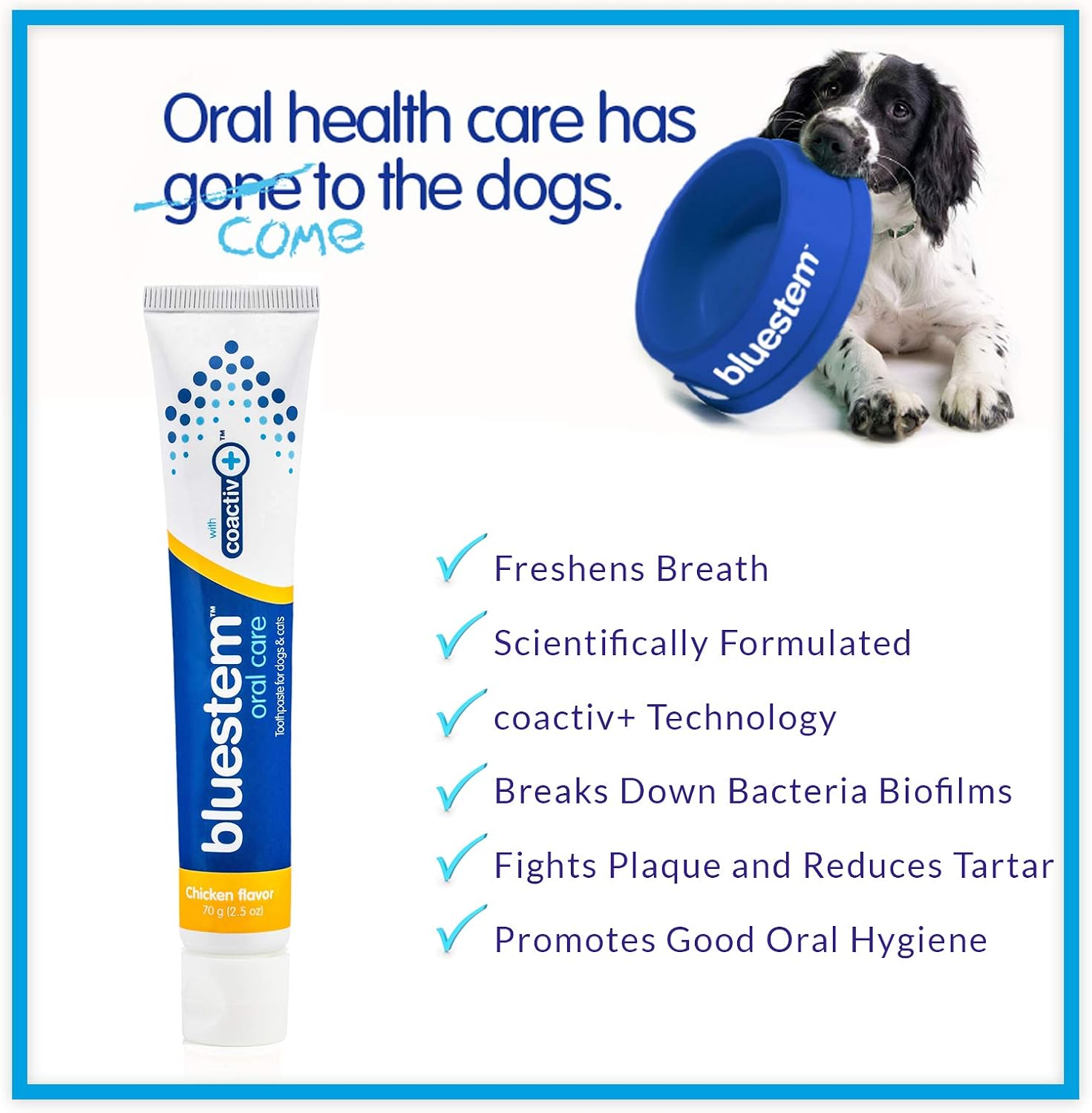 Authentic USA imported bluestem pet dental care