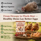 Natural Chicken Dewormer Powder, Chili Mix with Oregano for Poultry Supplement,16OZ - Image 5