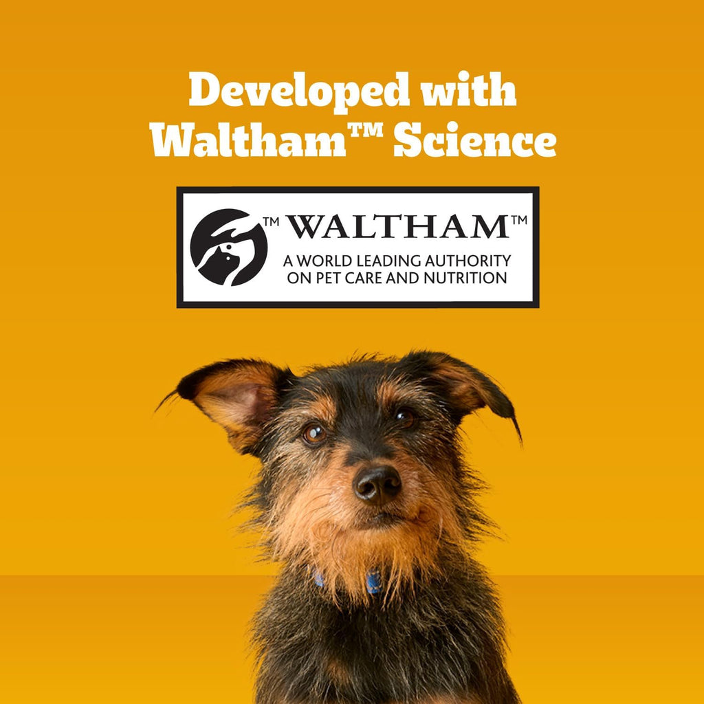 Back of Pedigree Dentastix packaging showing ingredients and guidelines