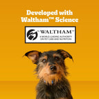 Back of Pedigree Dentastix packaging showing ingredients and guidelines