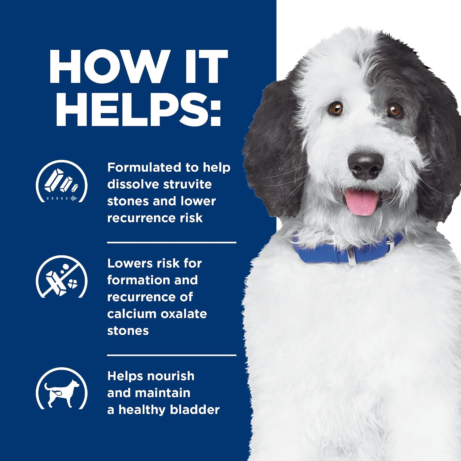 Authentic USA imported Hill's Prescription Diet bladder stone care formula.