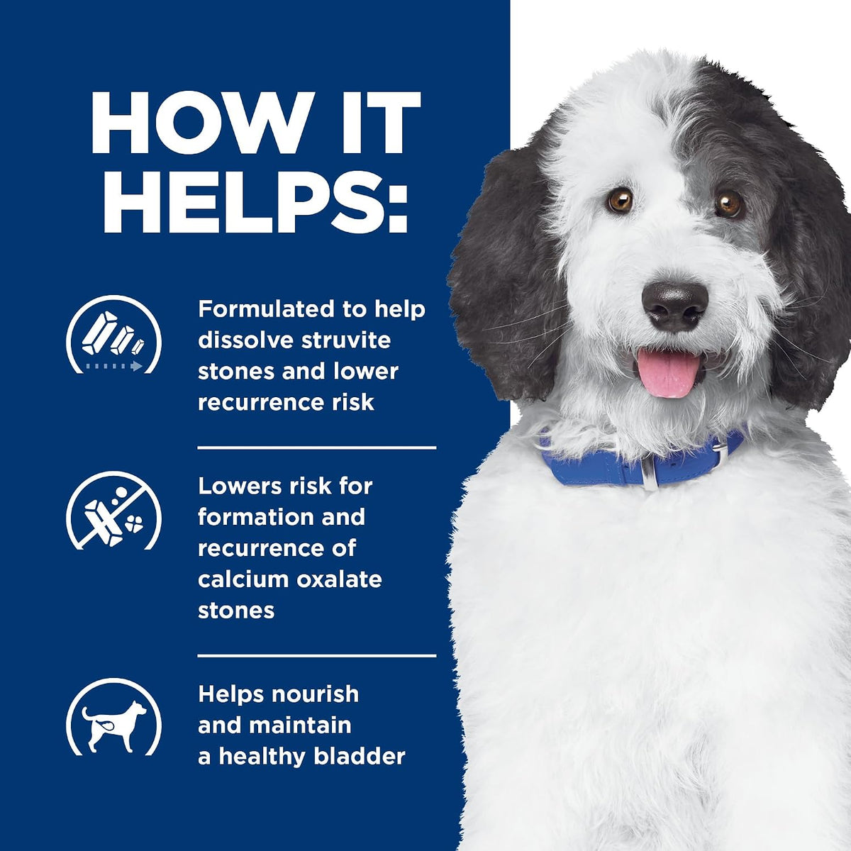 Authentic USA imported Hill's Prescription Diet bladder stone care formula.