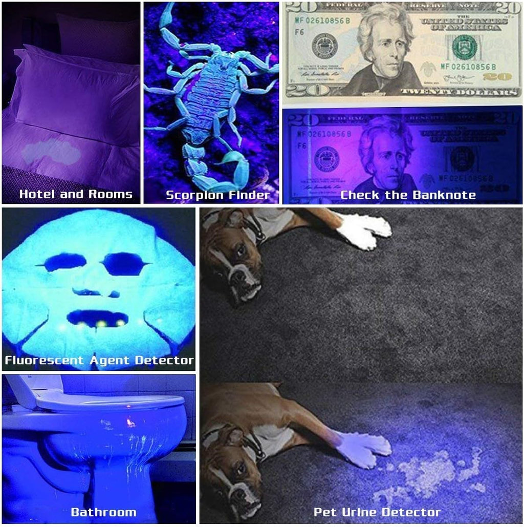 UvMonster ultraviolet pet urine detector light scanning a carpet surface in a living room.