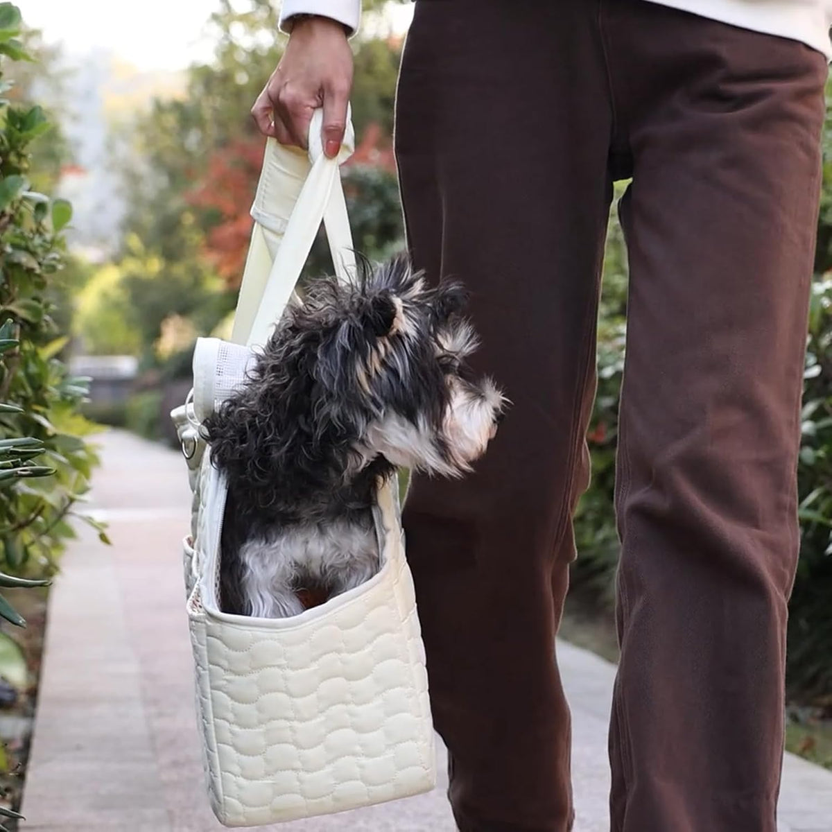 Small Dog Purse Rabbits Carrier Bag,Adult Cat/Puppy Carriers Bunny Bag with Multiple Pockets,Breathable Mesh Soft Cushion,Traveling Pets Tote Picnic Outdoor 15lb (Grey2, Large) - Image 2