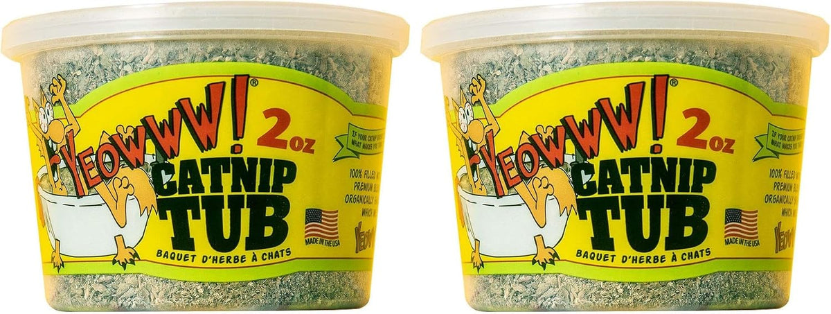 Top down angle of the catnip tub showing the secure lid seal and fresh herbal contents