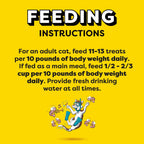Temptations 16 ounce tub lifestyle product shot for cat owners