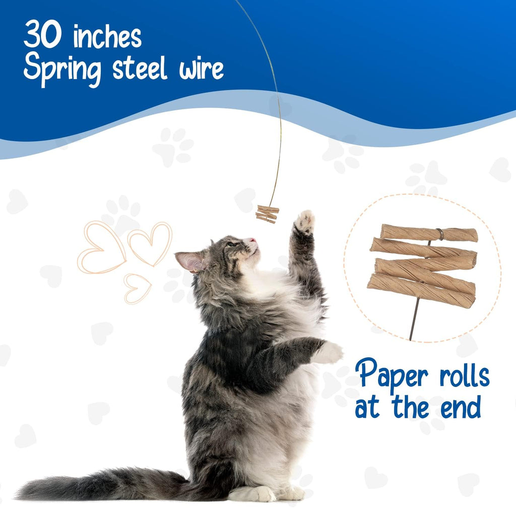 Pet owner holding the flexible thirty inch steel wire toy to entertain an indoor kitten.