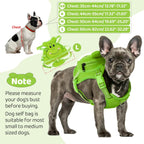 No pull mesh puppy vest with metal leash attachment ring.