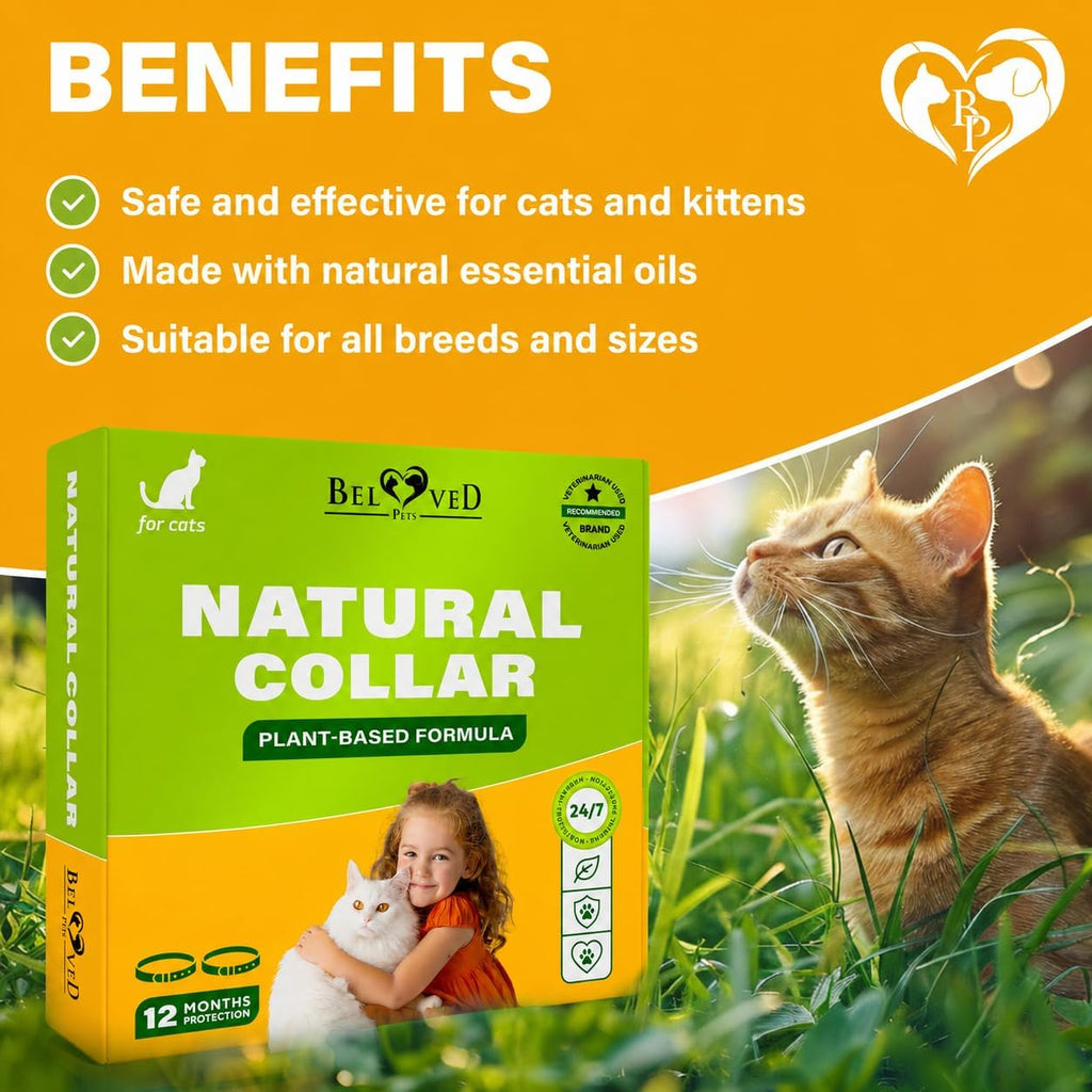 Adjustable buckle detail on Beloved Pets cat flea collar
