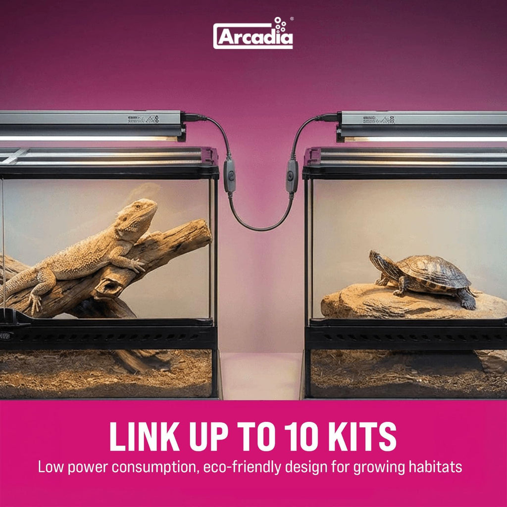 Arcadia Pro T5 linking cable and power accessories