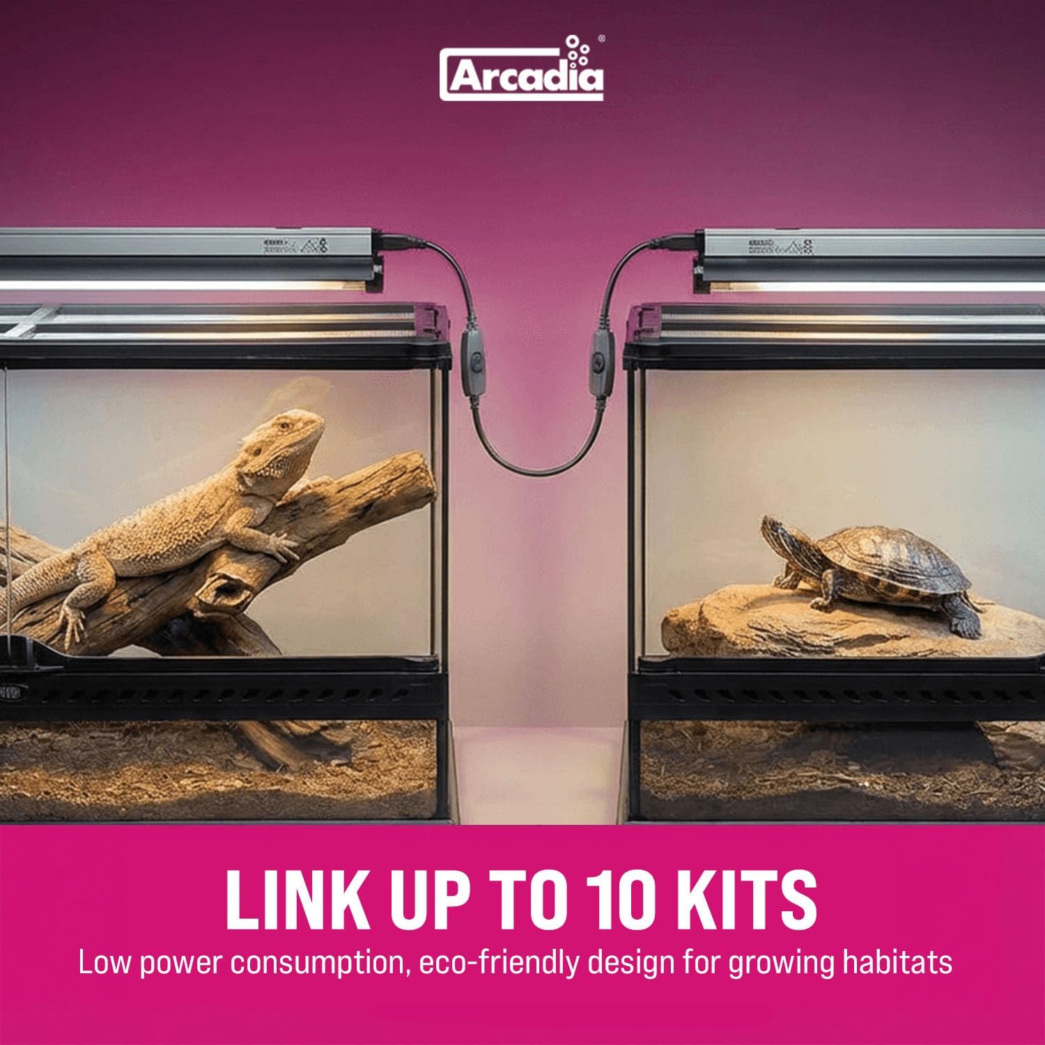 Arcadia forest reptile UVB fixture operating over a mesh terrarium top demonstrating even light distribution.