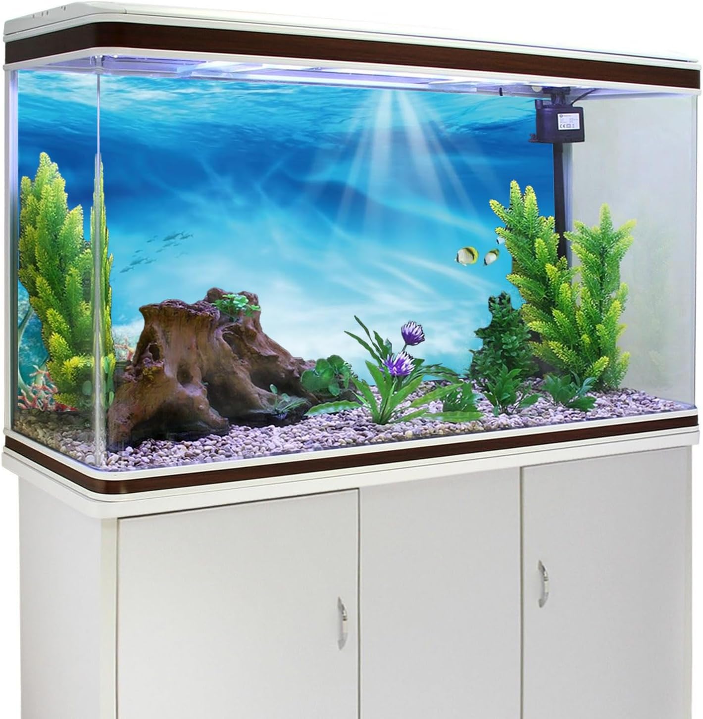 Sunshine underwater world terrarium poster background for realistic aquascaping