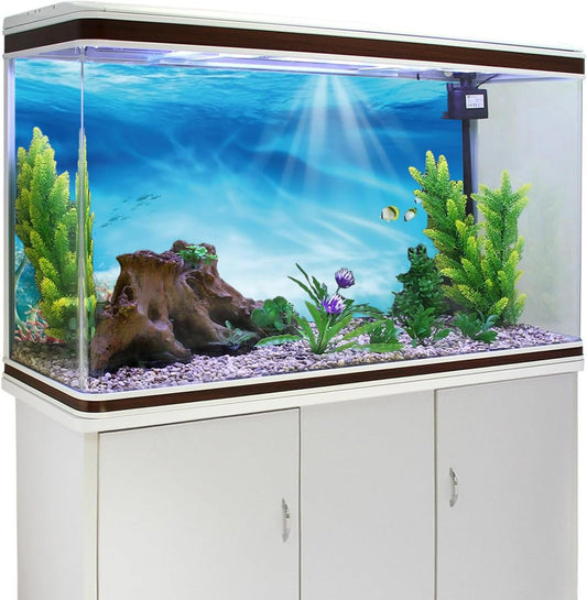 Sunshine underwater world terrarium poster background for realistic aquascaping