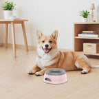 Pink anti choking kitten and puppy water feeder for car travel