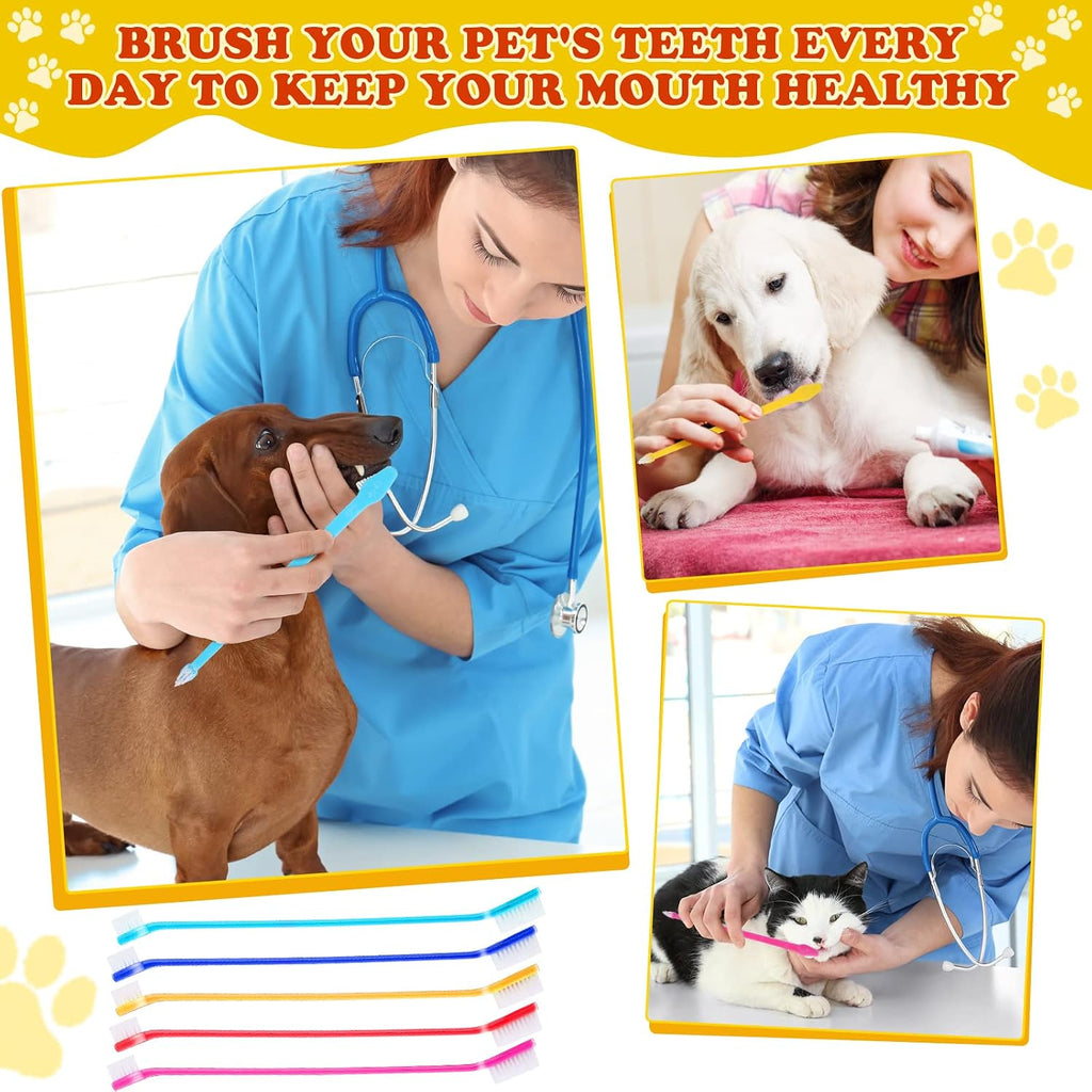 Pet oral care kit featuring dual headed dental brushes