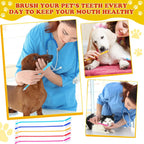 Pet oral care kit featuring dual headed dental brushes