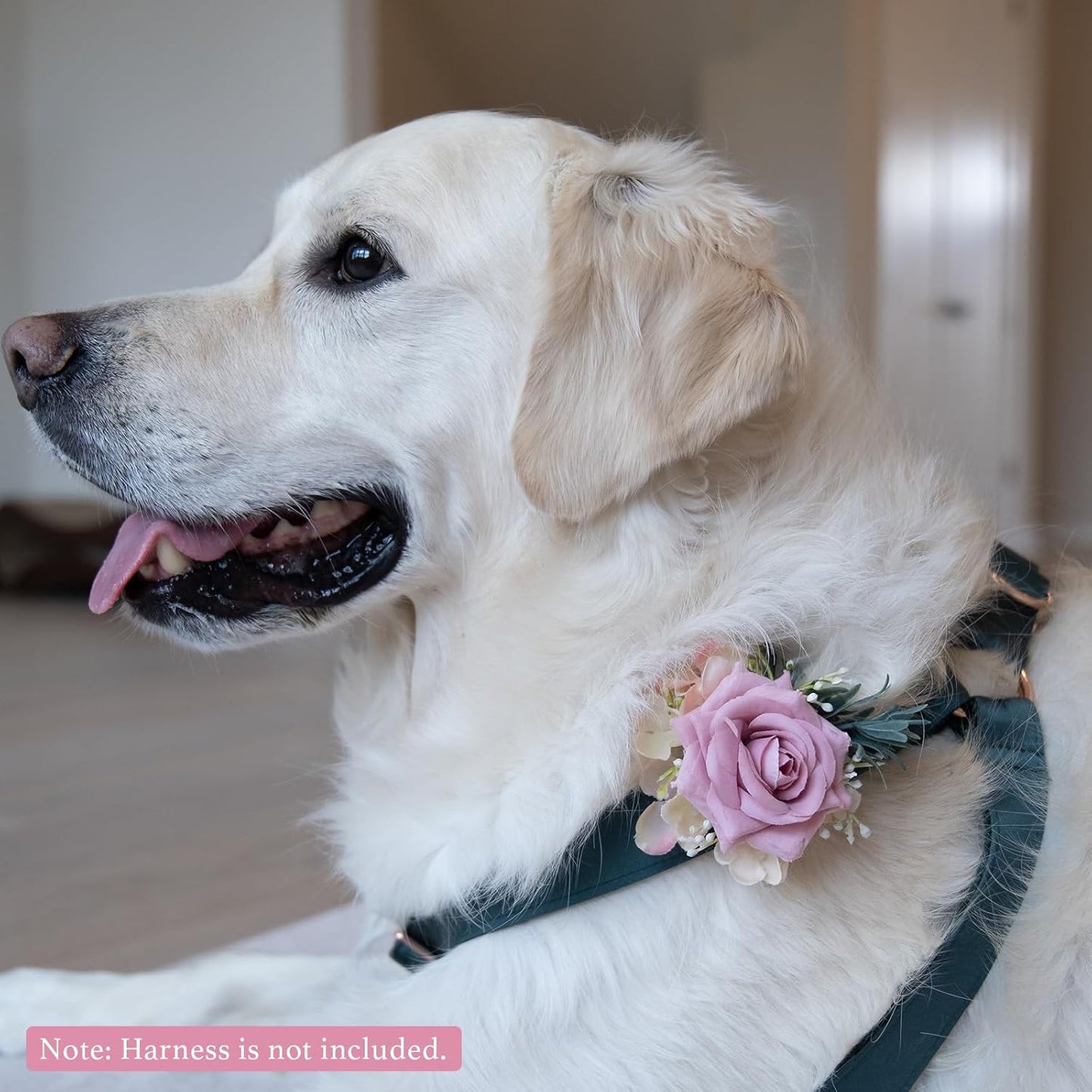 Pink floral accessory for cats and puppies grooming