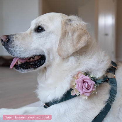 Pink floral accessory for cats and puppies grooming