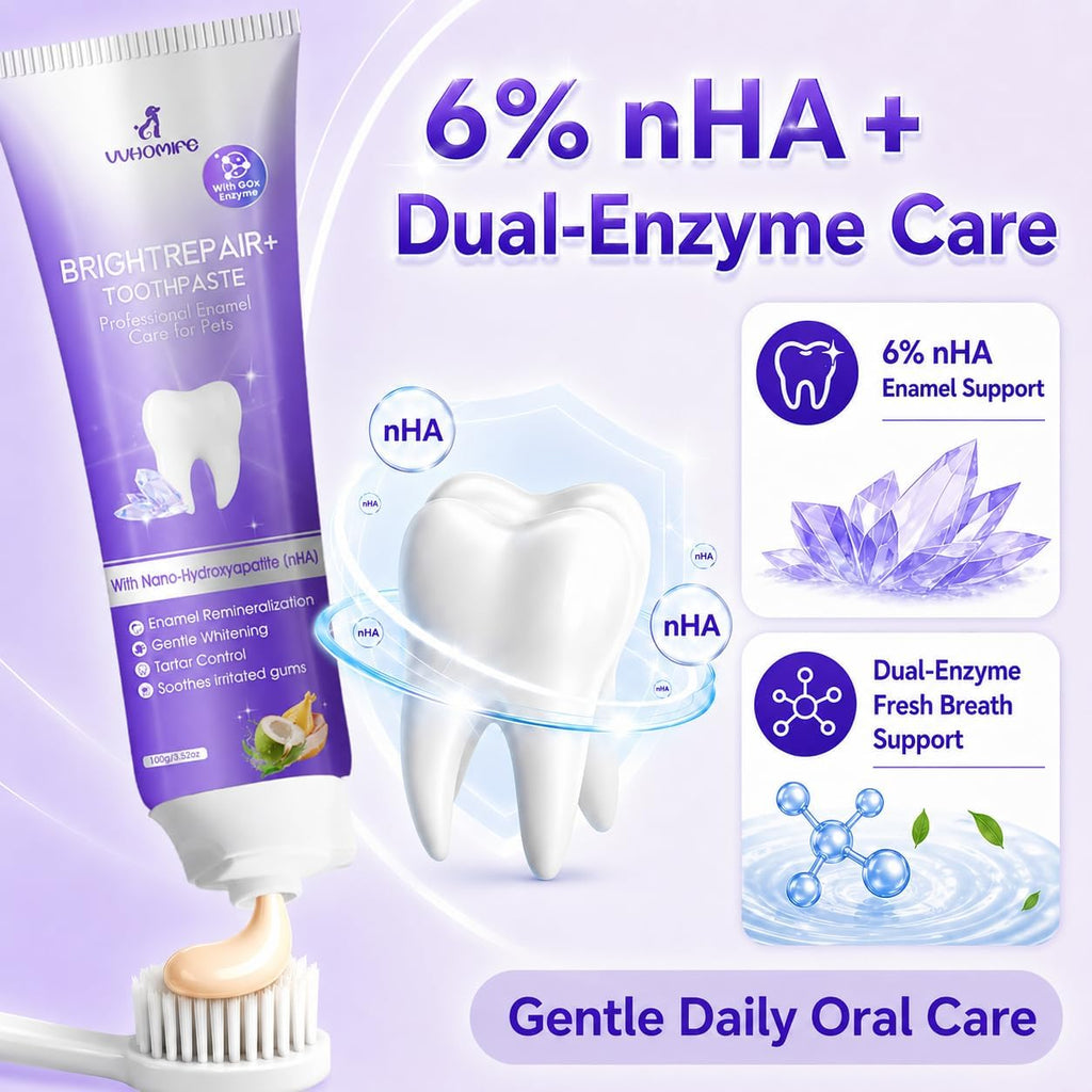 VVHOMIFE pet dental gel showing the smooth paste texture and packaging