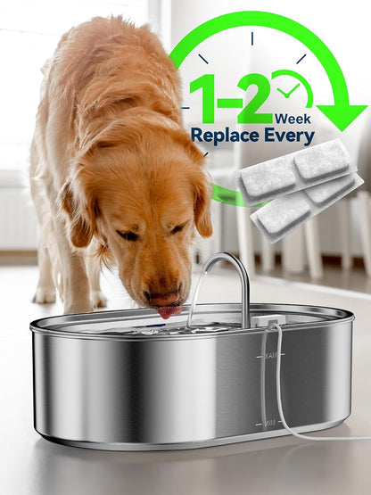 Close up of filtration system for Ecoconut dog fountain