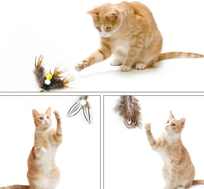 Hokoad interactive cat toy accessories pack for indoor feline exercise