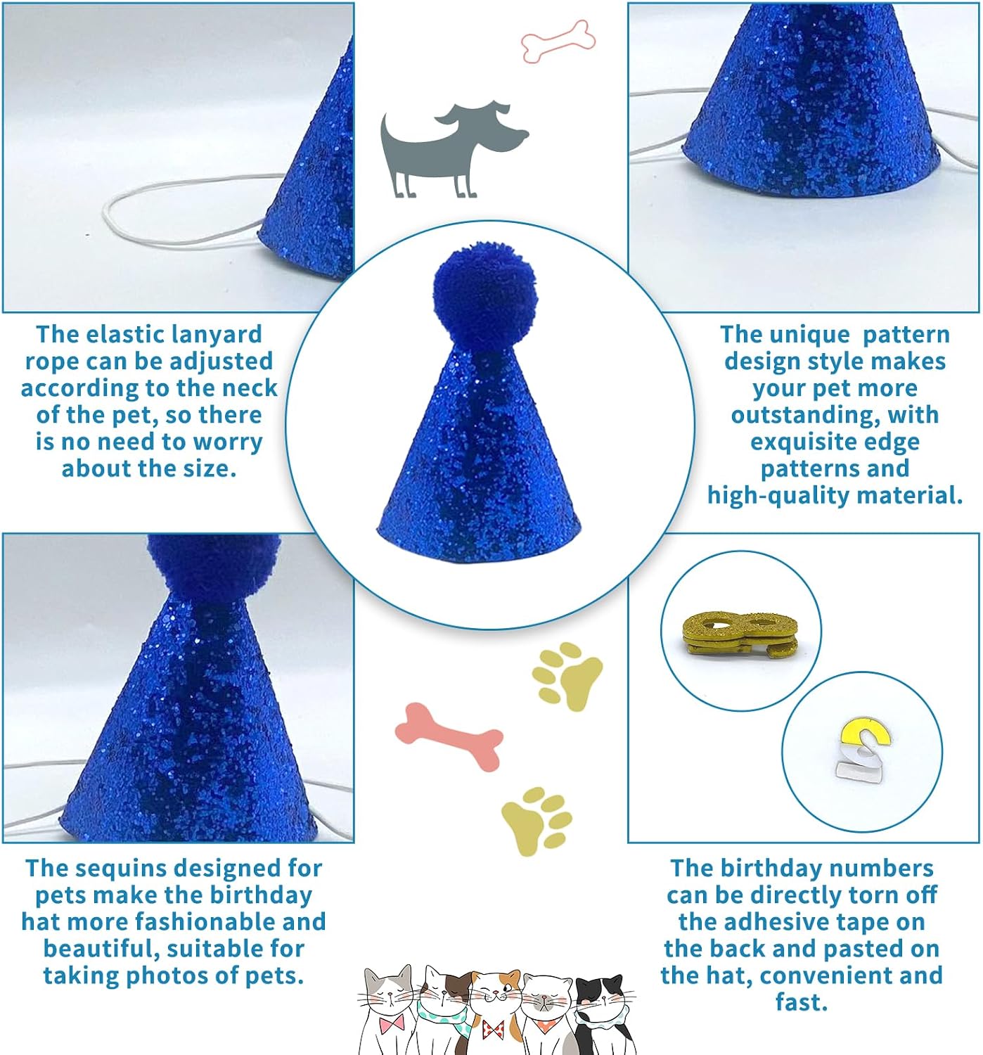 Cat wearing blue birthday bandana and party hat