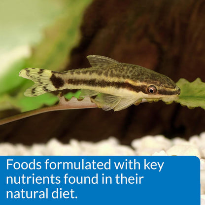 API brand aquarium fish food packaging labels and details