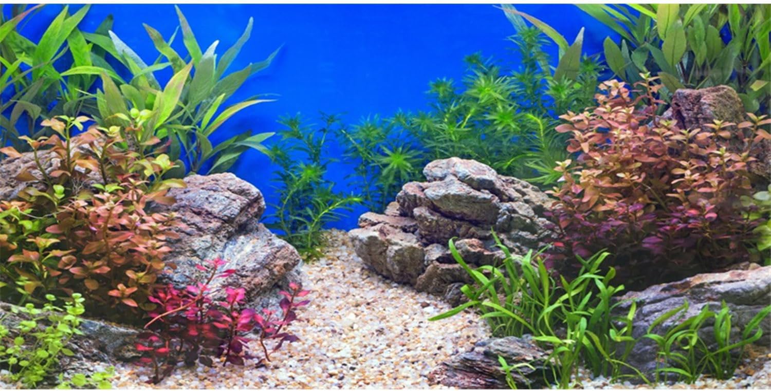 AWERT aquatic plant fish tank background front view displaying stone river bed design