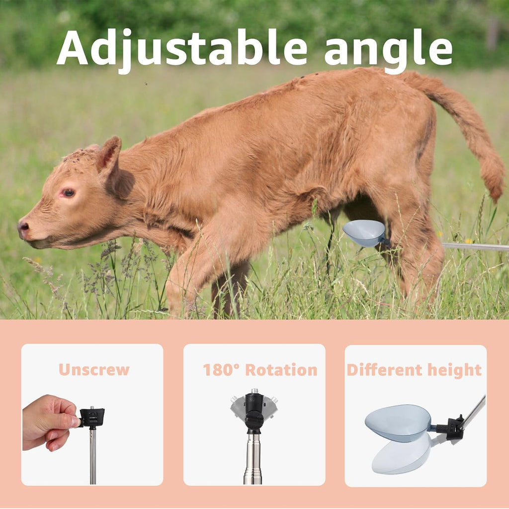 Dreamemo dog pregnancy pee test kit components arranged on a clean background.
