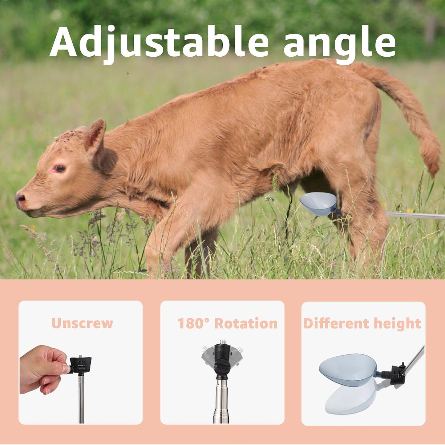 Dreamemo dog pregnancy pee test kit components arranged on a clean background.