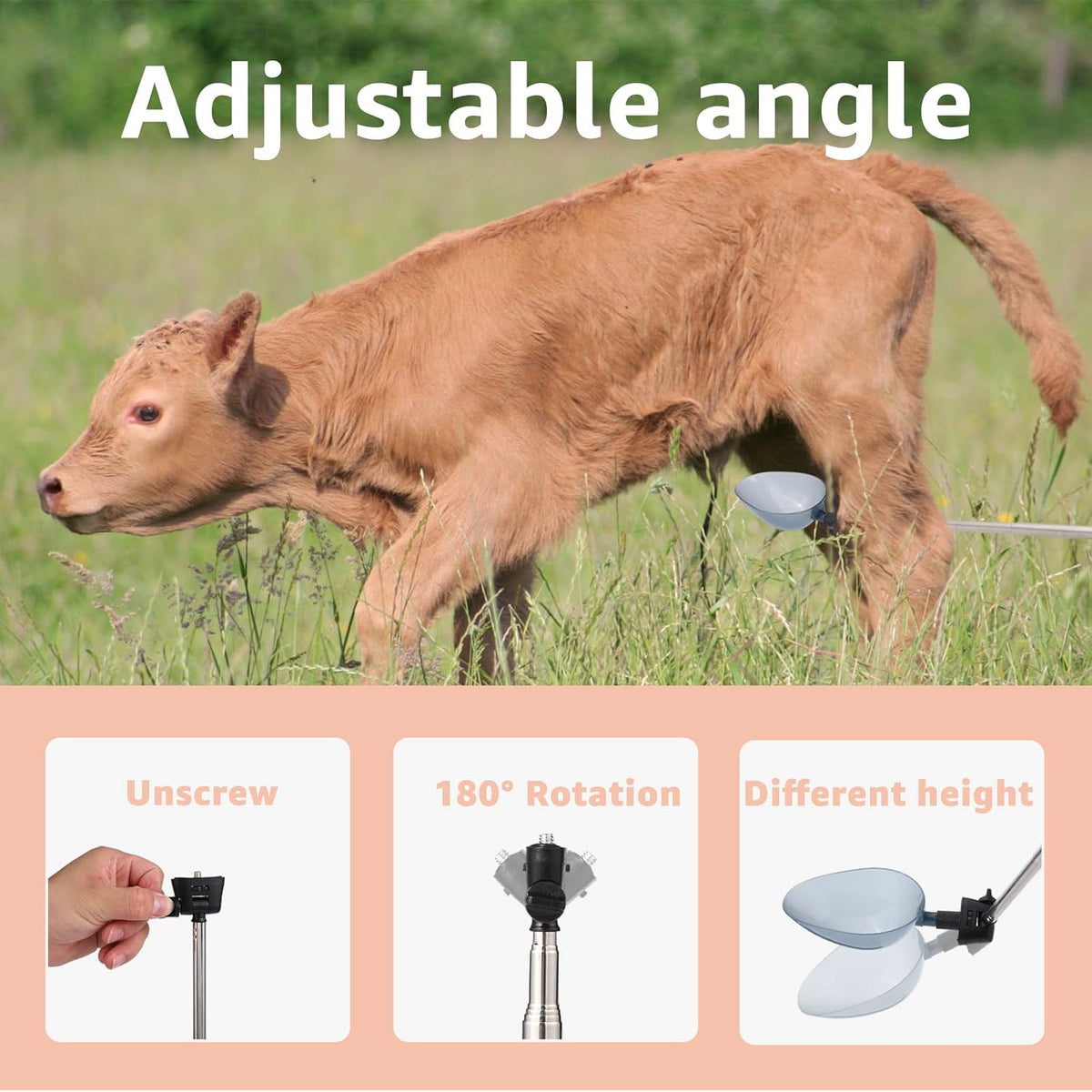 Dreamemo dog pregnancy pee test kit components arranged on a clean background.