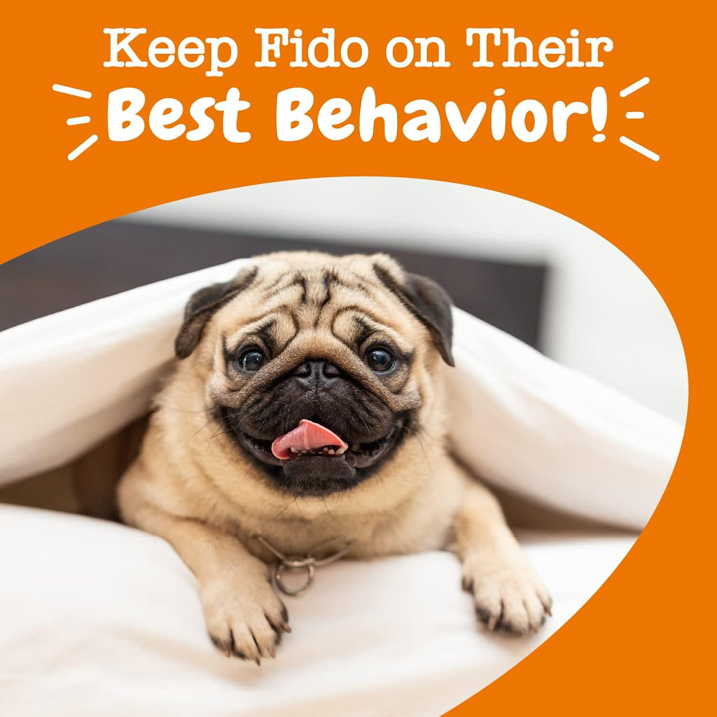 Zesty Paws melatonin and hemp seed dog sticks back label directions