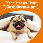 Zesty Paws melatonin and hemp seed dog sticks back label directions